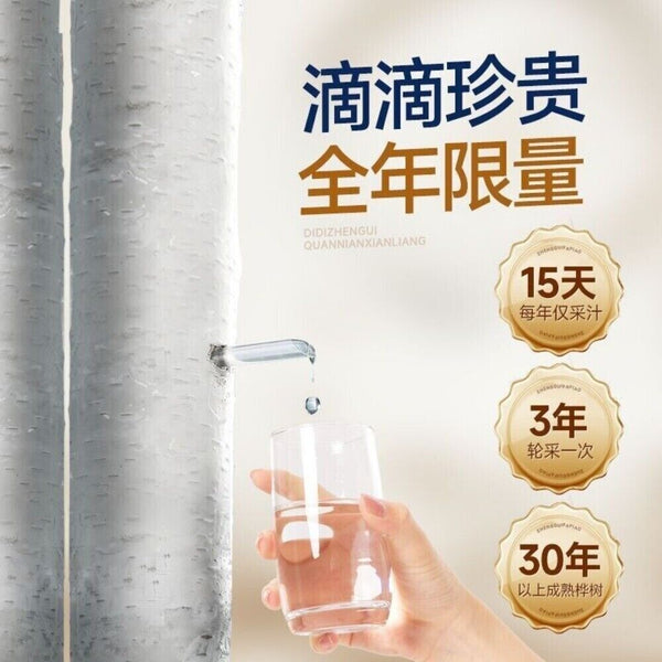 Food Grade White Birch Extract Powder Sap Concentrate Herbal Tea Premium Natural