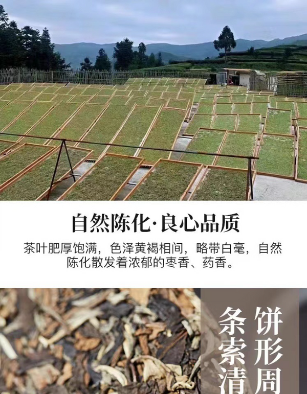 HelloYoung 350g Fuding high mountain white tea aged day sun old tea cake gongmei shoumei