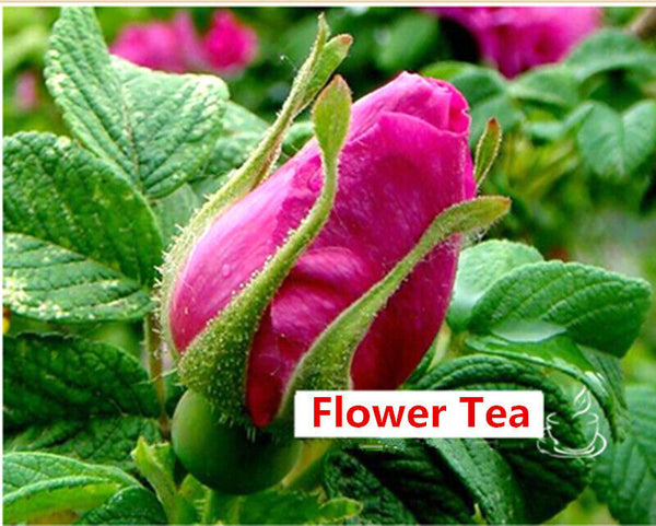 HelloYoung Healthy Drink Dried Rose Buds Tea Organic First Class Fragrant Flower Tea 50g