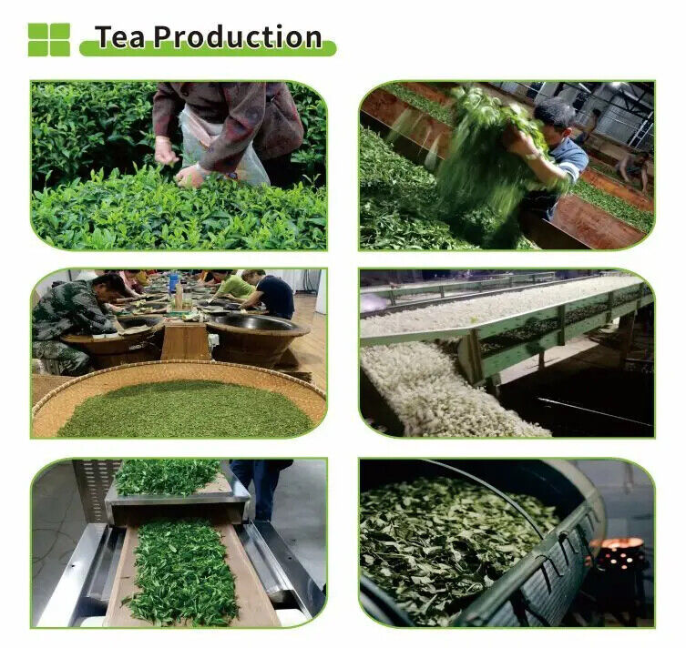 Famous Yunnan Shen Puer Tea Cake Organic Unfermented Puerh Cha Bing 400g