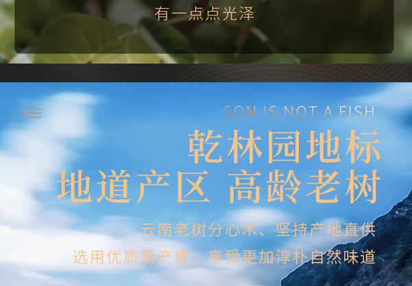 HelloYoung New Walnut Split Wood Chinese Herbal Medicine New Stock Walnut Split Wood