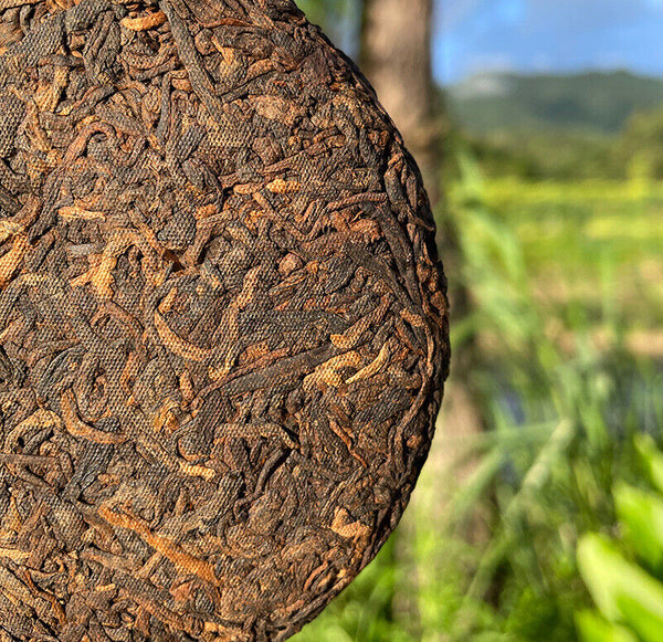 HelloYoung Brown Mountain Spring Tea Brown Mountain Ripe Tea Pu-erh Ripe Tea 100g