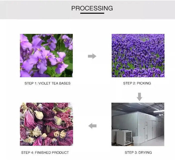 Violet Tea Flower Herbal Tea Elegant Dried Violet Flower Tea for Beauty