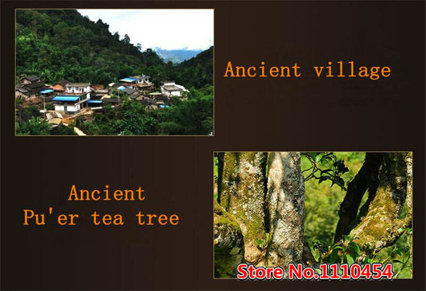 Dianhong Tee  Ancient Old Tree Yunnan Dian Hong Golden Buds Brick Black Tea 250g