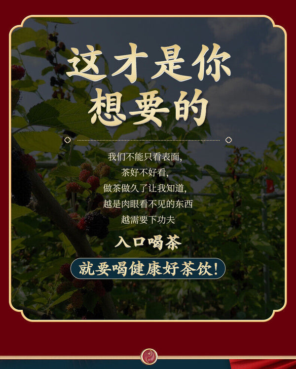 Mulberry Seeds160gDried Mulberry Canned Health Food Raw Material Black Mulberry