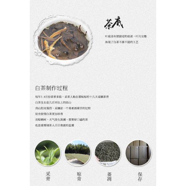 HelloYoung Pi Old White Tea Fuding White Tea Healthy Drink 150g High Quality Chen