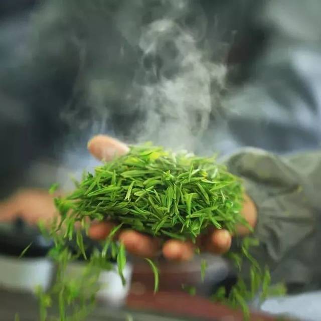 HelloYoung Fragrant Tea Alpine Yunwu Green Tea Wholesale Rizhao Fried Green Strong Tea