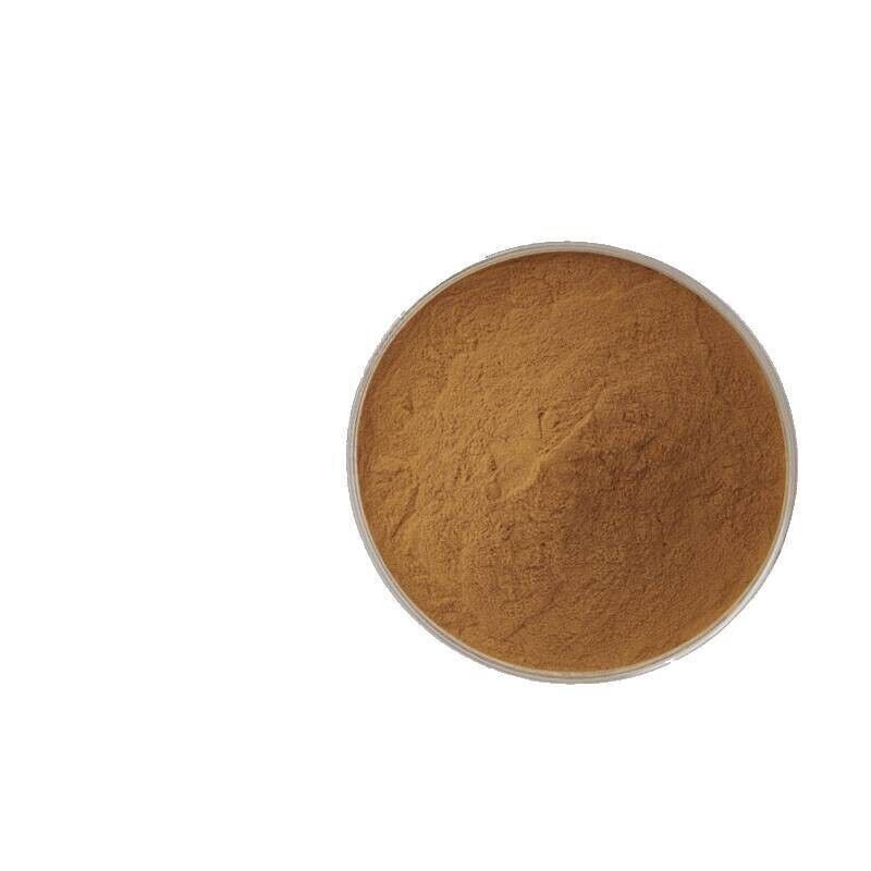 Premium St. John’s Wort 20:1 Extract Powder 500g Mood Support Herb