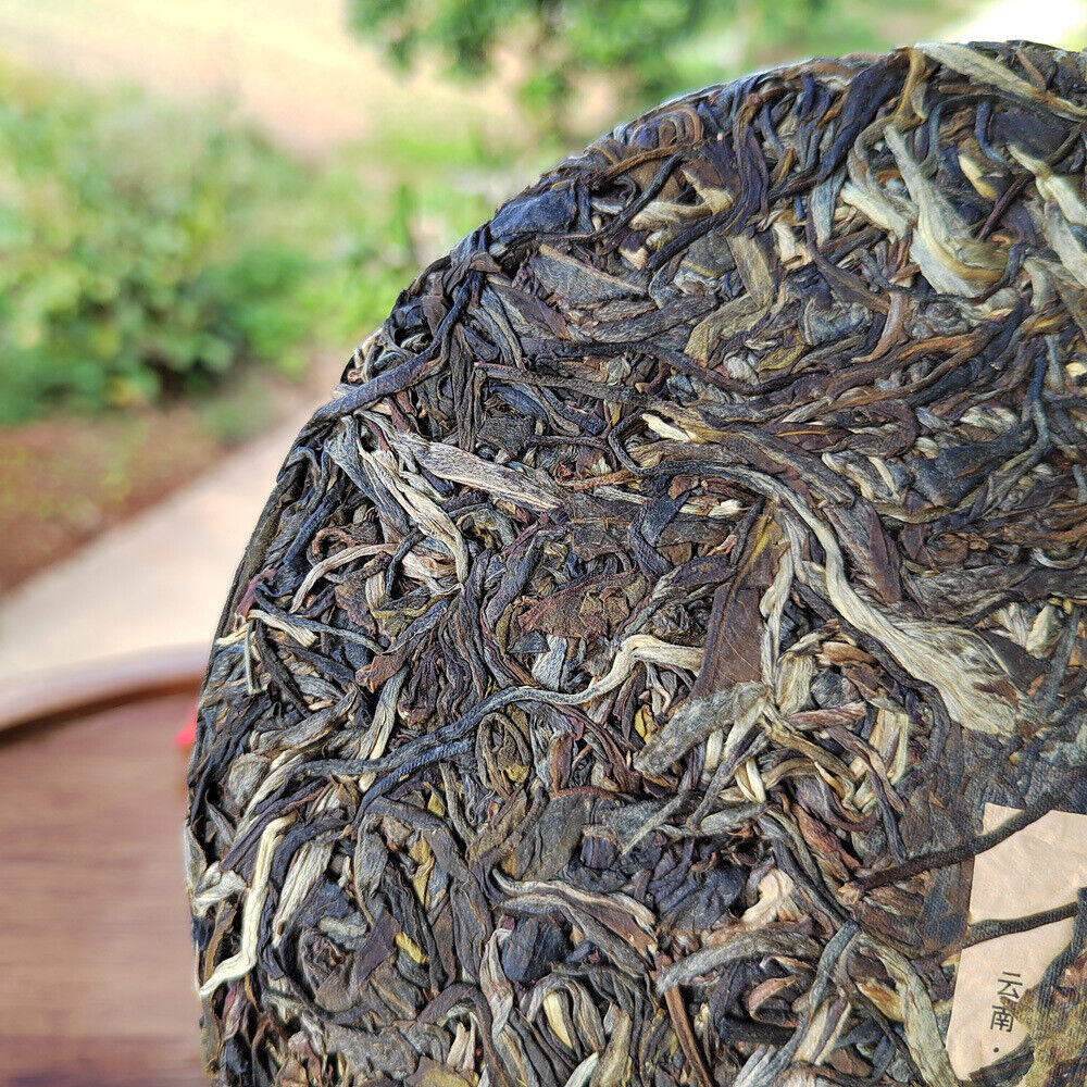 HelloYoung Scraping Walled Pu'er Tea Cake Yiwu Ancient Tree Raw Tea First Spring Yunnan Tea