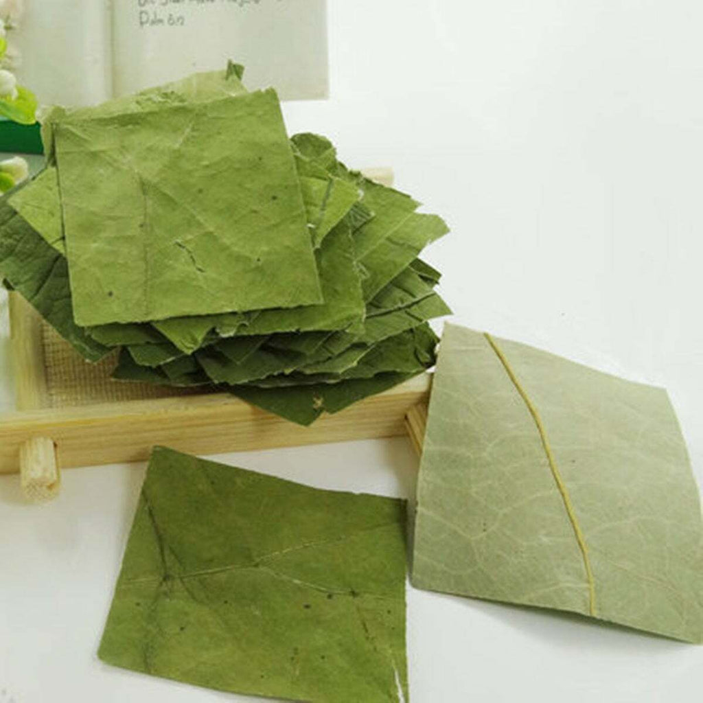 TemuTea 20g Herbal Tea,  Lotus Leaf Tea, Health Care Tea