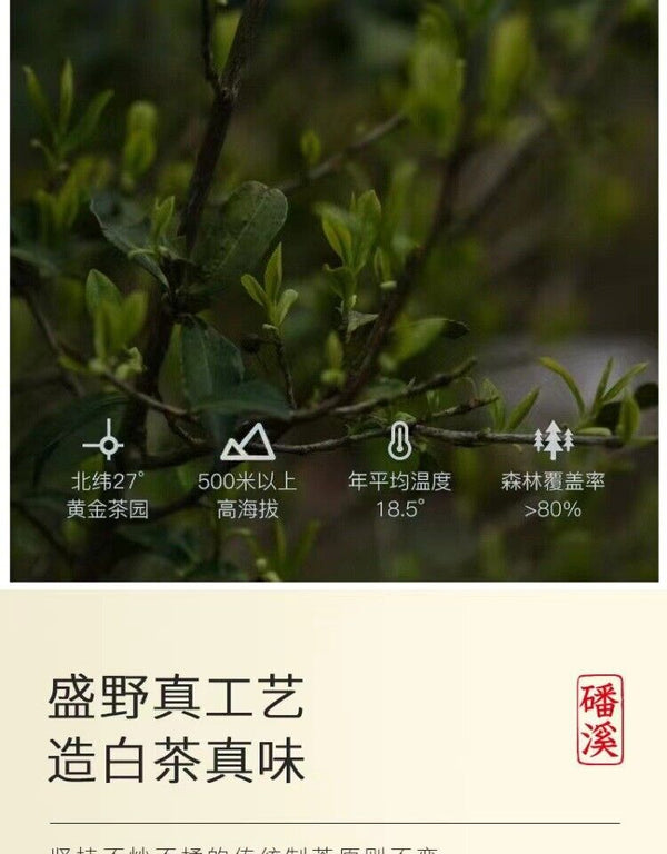 HelloYoung 500g Fuding alpine white tea cake white peony king tea small square cookie tea