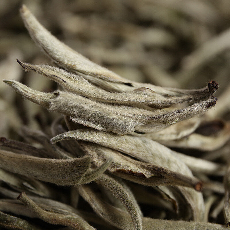 2024 Premium  Yunnan Pu'er Raw Baihao Yinzhen White Tea Loose Leaf 500g