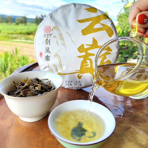 HelloYoung Scraping Walled Pu'er Tea Cake Yiwu Ancient Tree Raw Tea First Spring Yunnan Tea
