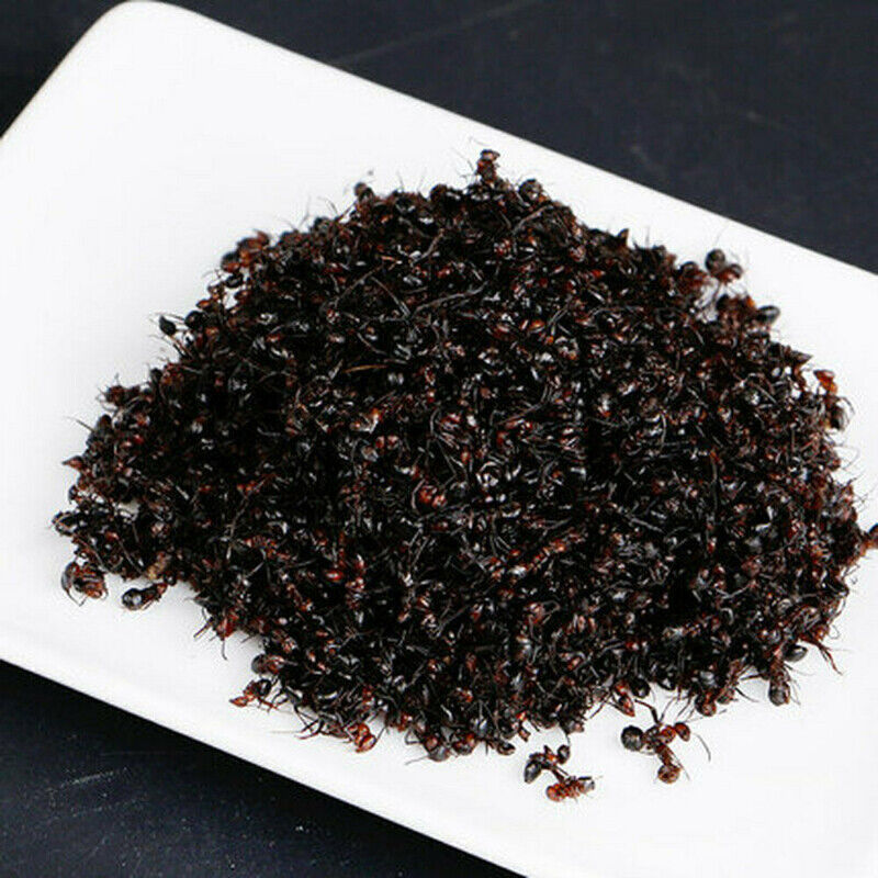 HelloYoung Bai Shan Mountain Black Ant Vic Roger Polyrhachis 500g Premuim China Wild Chang Secondary image