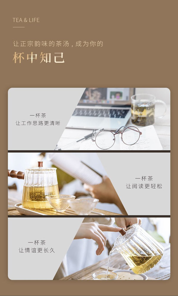 Mao Feng High Mountain Early Spring Green Tea 60g Premium 2025 New Tea