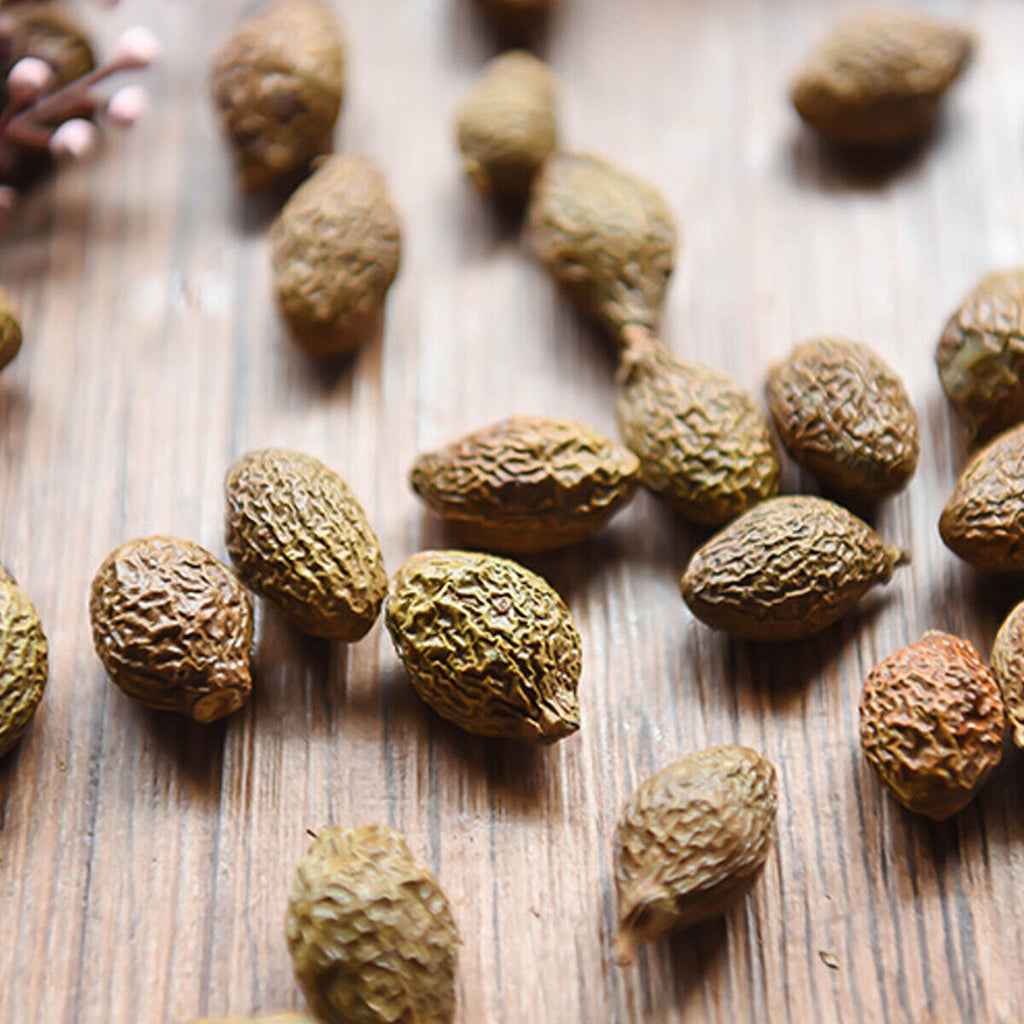 Flower Tea Hand selected Reduce Internal Heat Tea Seed of Boat-fruited Sterculia