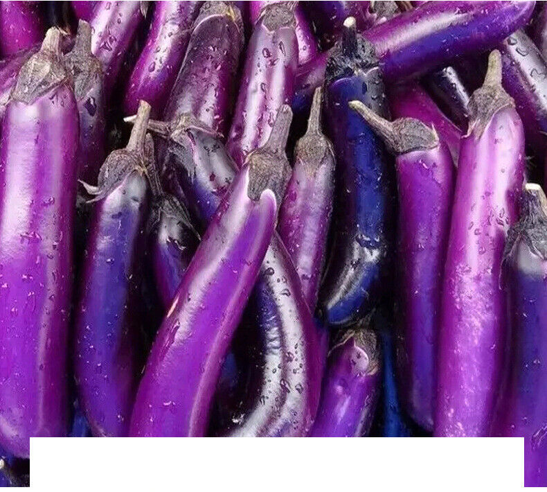 Dehydrated Vegetable,Sun Dried Farm Produce-Dried Eggplant Slices Strips