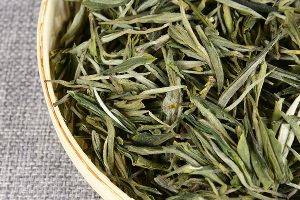 HelloYoung 500G Yunnan green needle green tea single bud strong aroma green tea straight