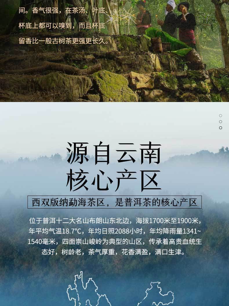 Yunnan Puerh Ancient Tea Ripe Tea Cake Menghai 10 Years Old Tea 357g
