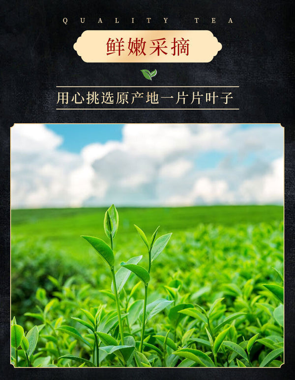 50g Chajindao Biluochun Green Tea Mingqian Loose Tea Good Tea