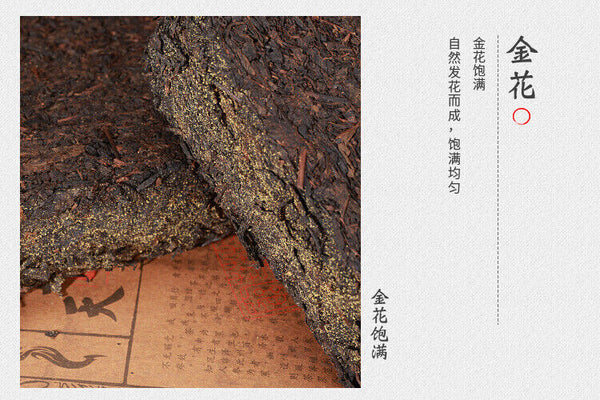 HelloYoung 920g Anhua black tea Tianjian Fu brick black tea raw tea golden flower black tea