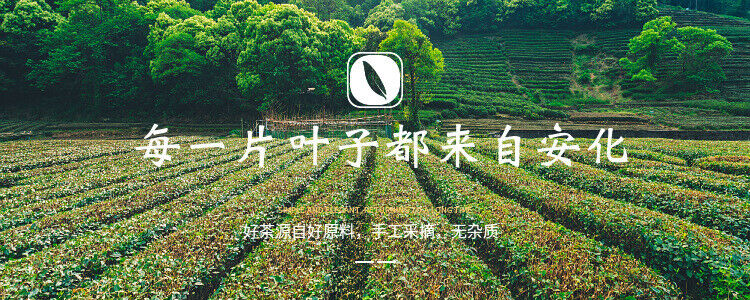 HelloYoung 1kg Hunan Anhua black tea authentic gold flower Por brick tea hand-built Por tea