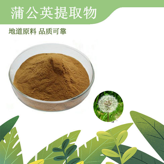 Premium Dandelion Extract 10:1 Flavonoids  Water-Soluble Powder Main image