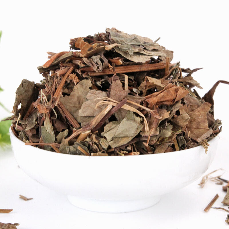 HelloYoung Fishweed Tea Large stock Folded Ear Root Fishweed Dried Chinese Herbs 500g/1.1lb