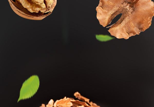 HelloYoung New Walnut Split Wood Chinese Herbal Medicine New Stock Walnut Split Wood