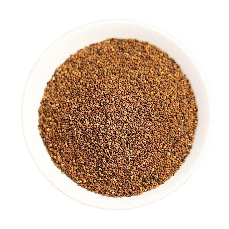 HelloYoung Cuscuta Water-washed Cuscuta Solidus Rabbit Seed Flower Tea Chinese Herbs 500g