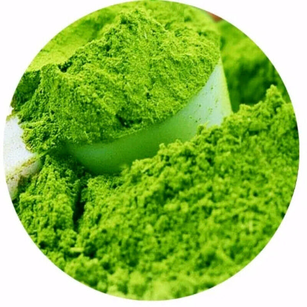 3 KG ORGANIC MORINGA OLEIFERA LEAF POWDER Premium Quality
