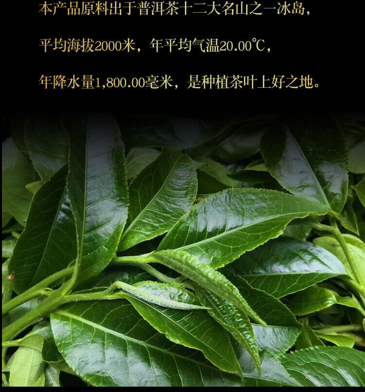 HelloYoung 300g Yunnan Pu'er Tea Iceland Gold Bar Old Tree Raw Tea Tea Leaf Raw Pu