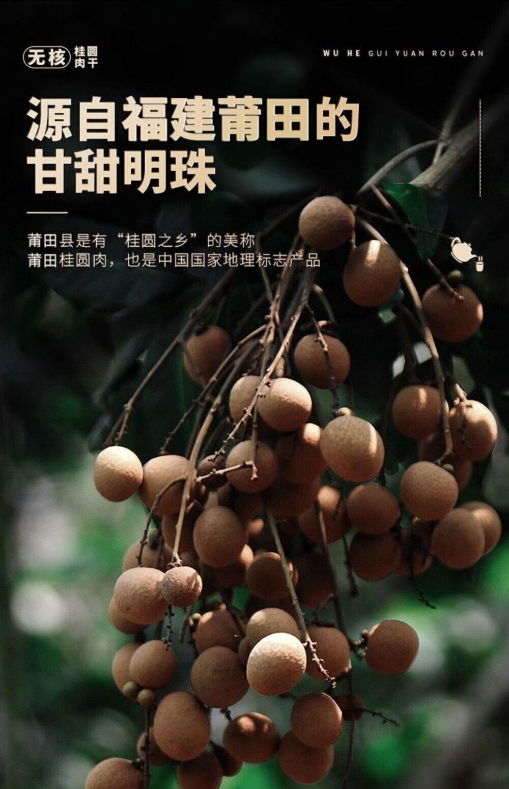 Premium Seedless Dried Longan 120g Juhe Tai Natural Energy Herbal Tea