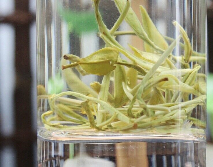 Luzhou-Flavored Single Bud Jasmine Dragon Ball 250g Secondary image
