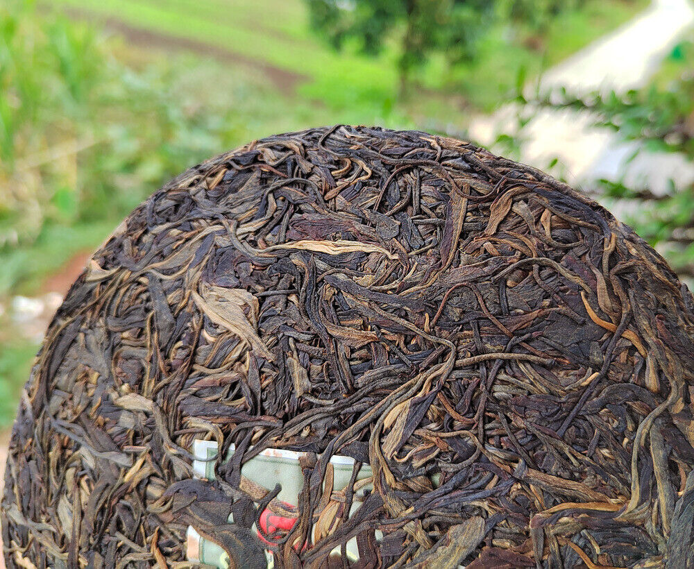 HelloYoung 357g Yunnan Old Raw Tea Pu'er Aged Gaoligongshan High Altitude Eco