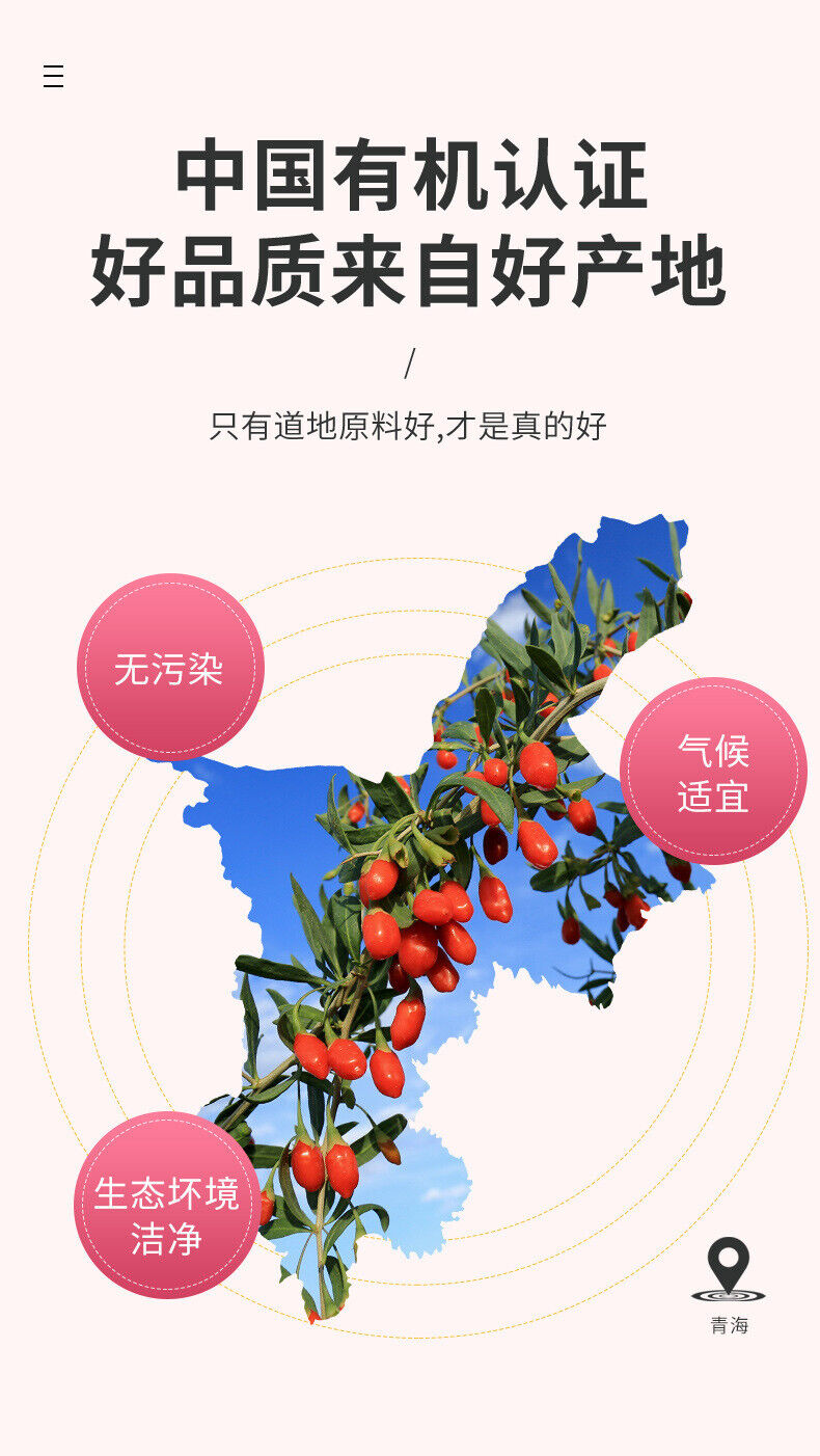 Organic Sulfite-Free Goji Berries 100g Top Grade Ningxia