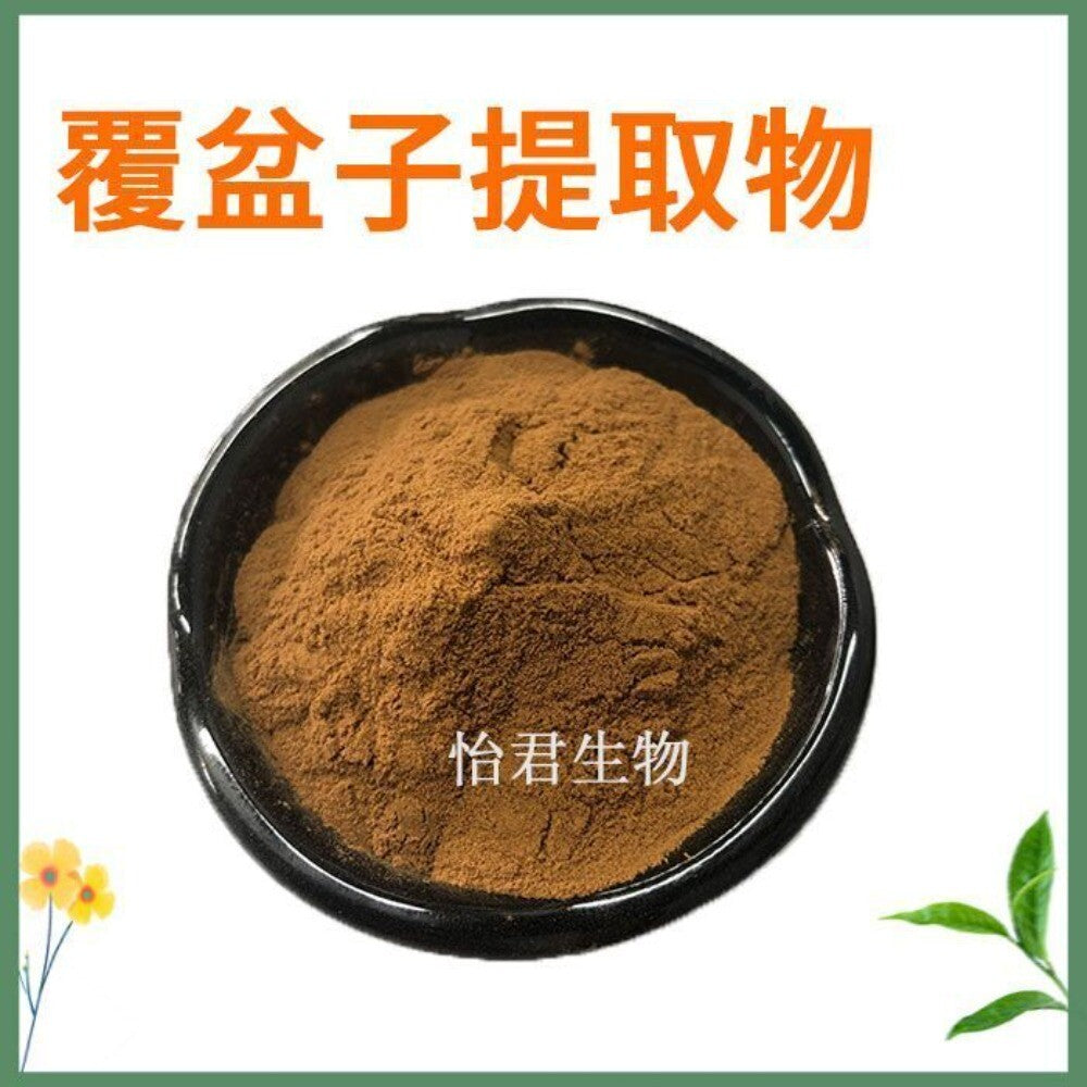 Raspberry Extract 20 1 Concentrate Powder Premium Natural Fruit Pure Main image