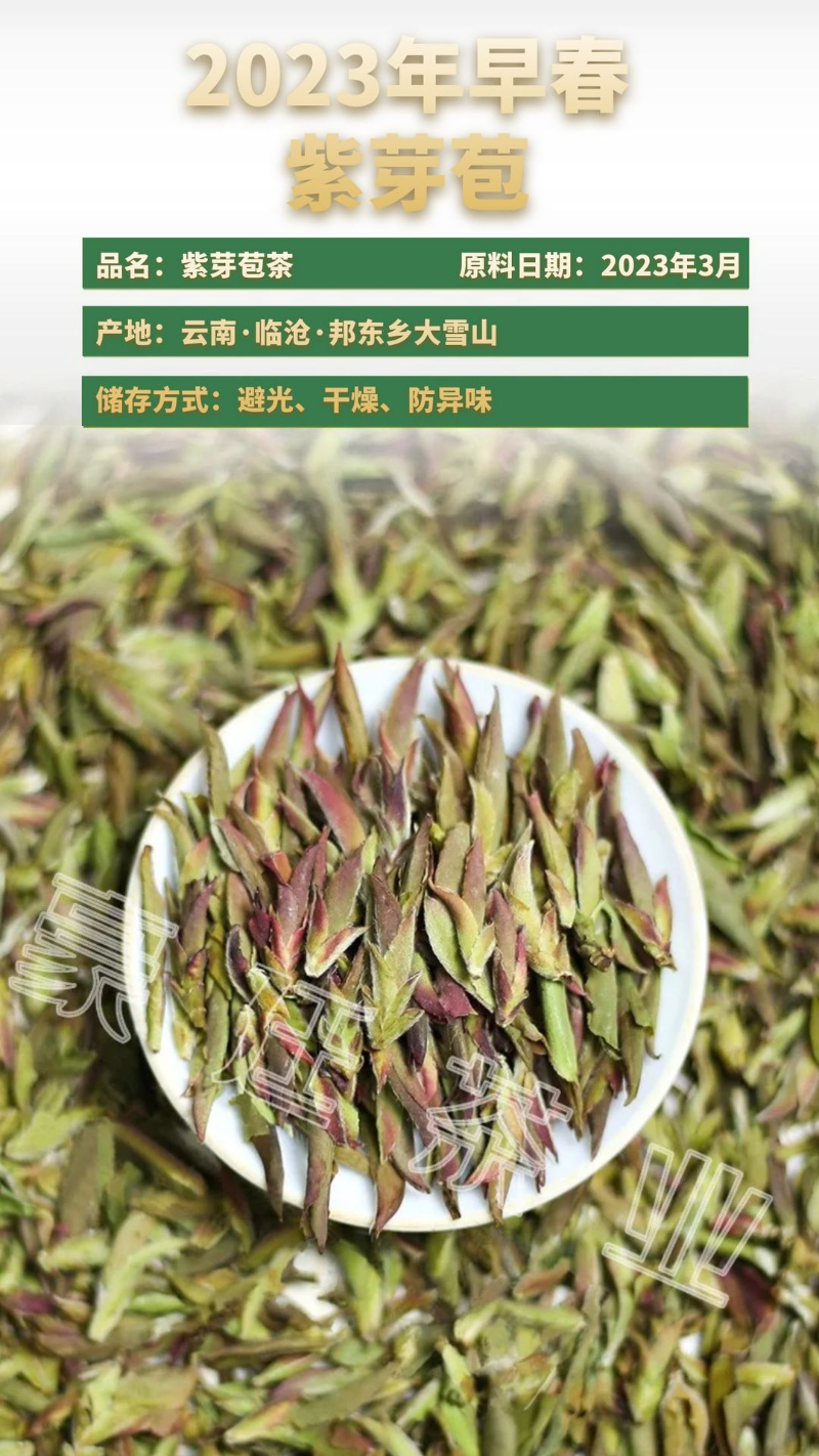HelloYoung Yunnan Pu'er Tea Purple Buds Early Spring New Tea MingQian Spring Tea Nectar Tea