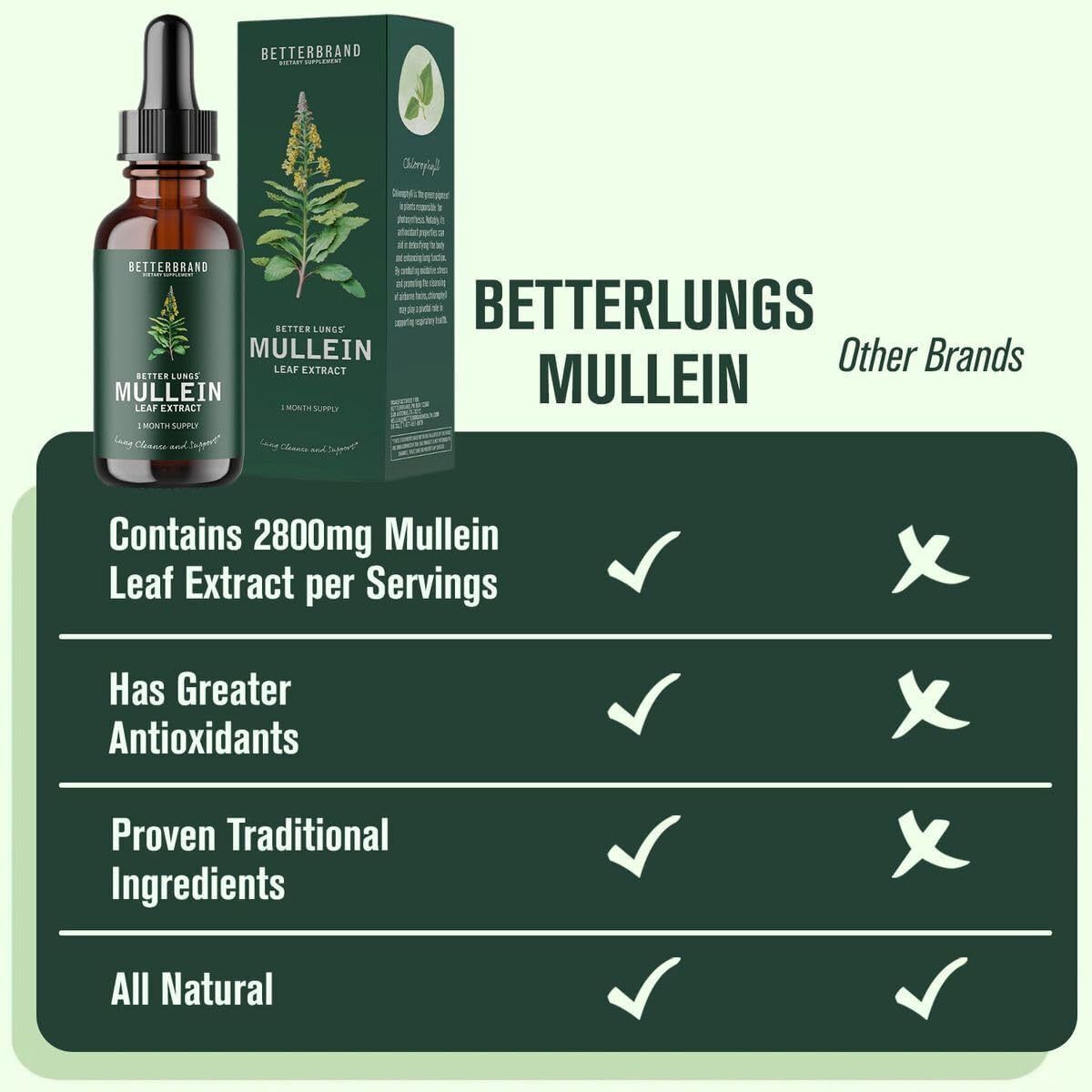 Healthy Airflow Promotes Overall Lung Health Mullein Leaf Extract Drops Supports