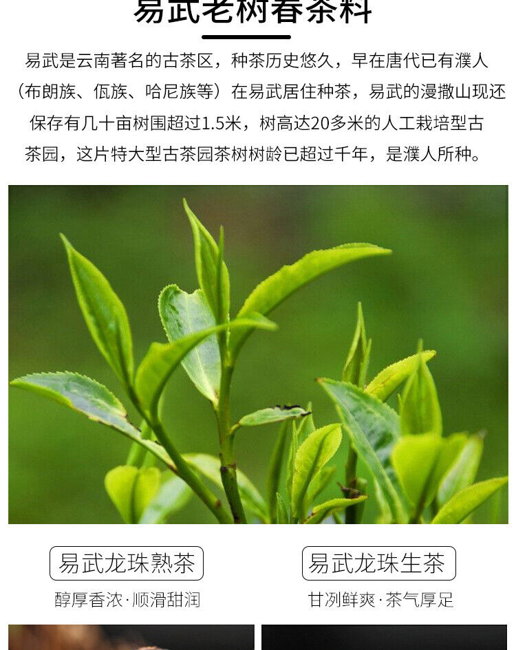 Yiwu Ancient Tree Longzhu Menghai Cooked Tea Xiao Tuo Tea Yunnan Pu'er Raw Tea