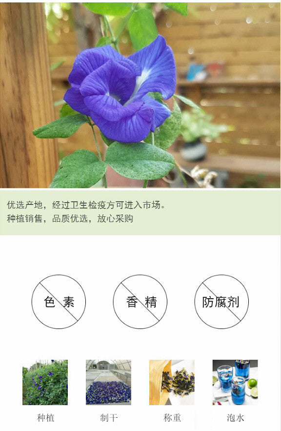 Organic Butterfly Pea Flower Tea Blue Butterfly Flower Fruit Tea Substitute Tea