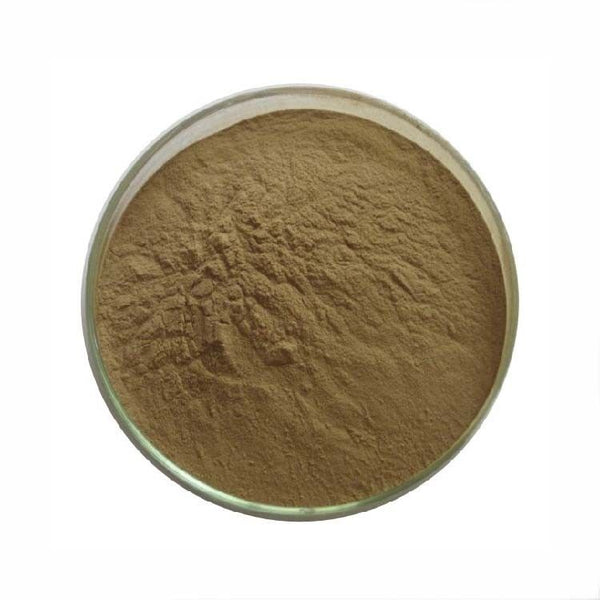 100g Gymnema Sylvestre Extract Powder 10:1 Blood Sugar Control