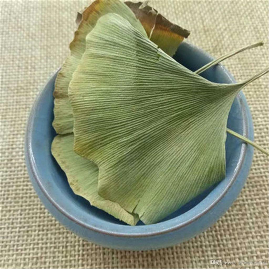 Ginkgo Biloba Blätter Ginkgo Biloba Leaves Chinese Wild Ginkgo Tea Medicinal Tea
