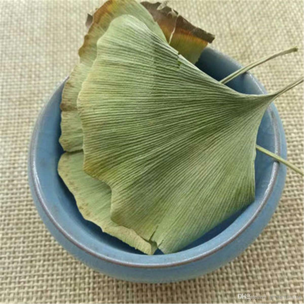 Ginkgo Biloba Blätter Ginkgo Biloba Leaves Chinese Wild Ginkgo Tea Medicinal Tea