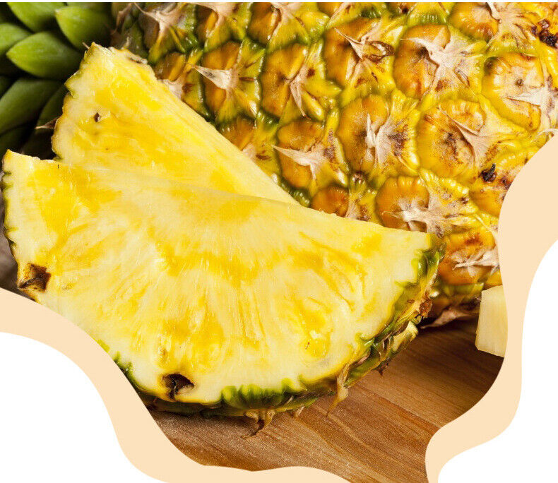 Dried Pineapple Slices 80g Individual Pack Healthy Snack Candied Fruit Treat