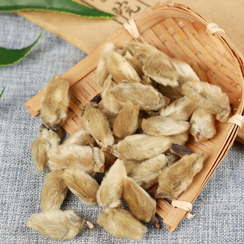 100% Natural Organic Scented Tea Xinyihua Chinese Specialty 250g/500g 辛夷花