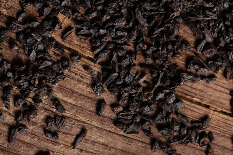 HelloYoung Glutinous Rice Fragrance Crushed Silver Tea Fossil Yunnan Pu'er Ripe Tea 500g