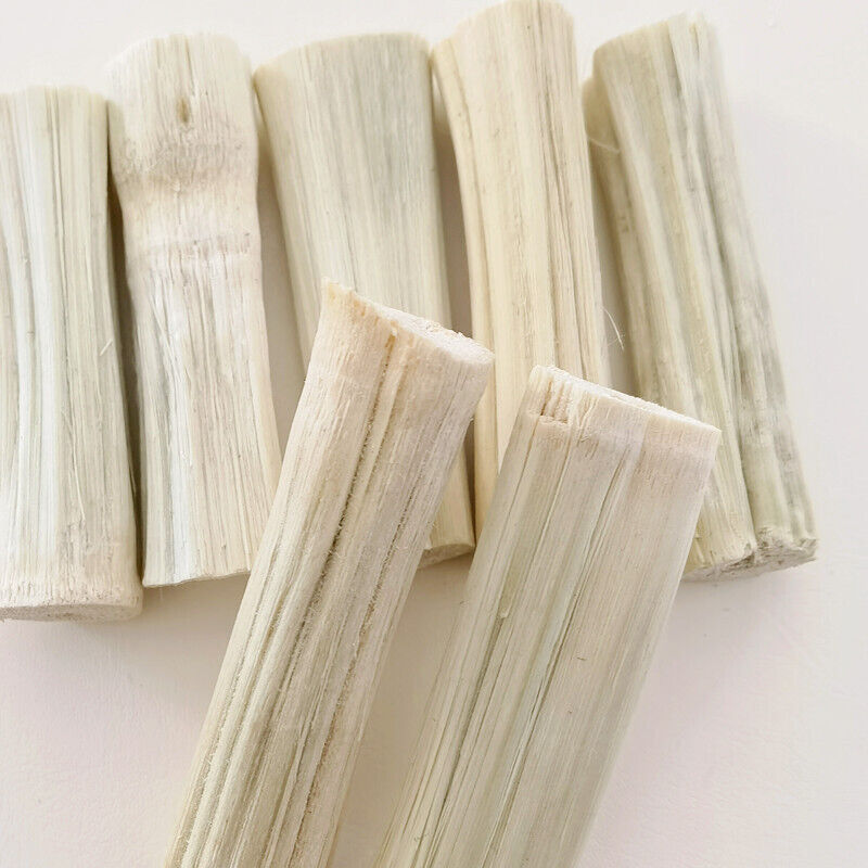 HelloYoung SugarCane Segments Bulk Dried Sugar Cane Peeled Dehydrated Sweet Sugar Cane 500g