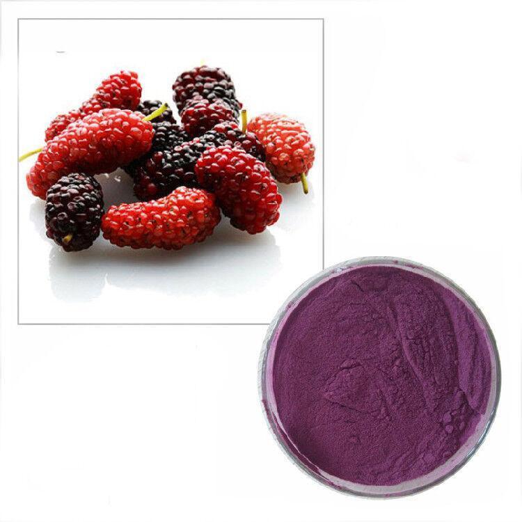 100g Organic Mulberry Fruit Juice Extract Powder 10:1 – Natural Antioxidant Main image