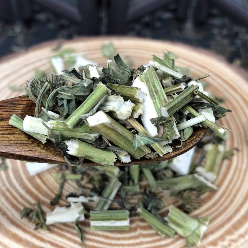 Fresh Chinese Herbal Tea Motherwort Soaked in Water Leonurus Japonicus Yimucao
